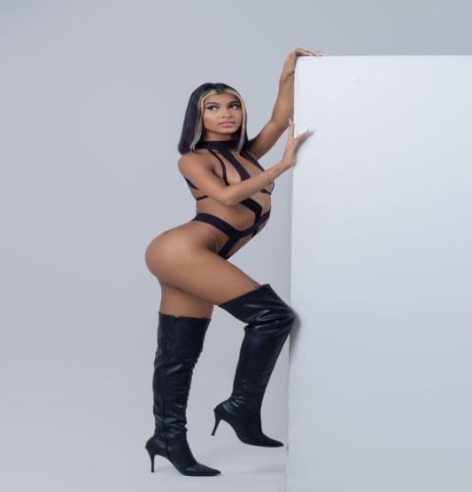 transex RJ Pietra Ninfeta 8025805